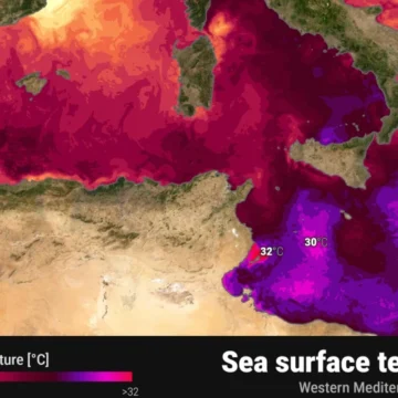 sst_western_23072026_climatebookgr-scaled-2-thumb-958x539 ВАРЯТ НИ ЖИВИ: Средиземно море се превърна в „супа“, чакат ни мега-бури и риба-убиец!