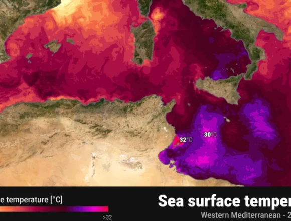 sst_western_23072026_climatebookgr-scaled-2-thumb-958x539 ВАРЯТ НИ ЖИВИ: Средиземно море се превърна в „супа“, чакат ни мега-бури и риба-убиец!